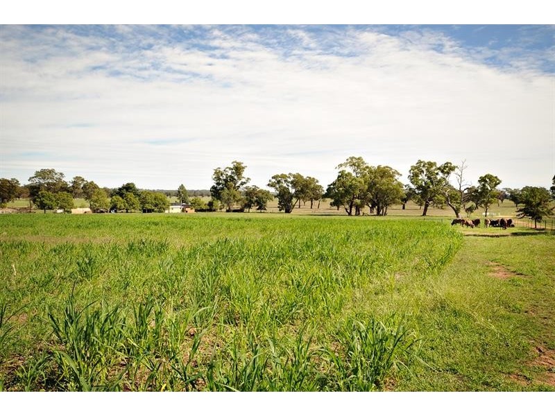 6R Benolong Rd, Dubbo NSW 2830