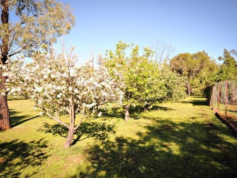 1R Debeaufort Dr, Dubbo NSW 2830