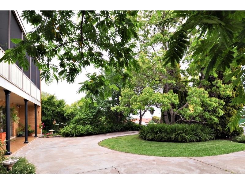 245 Wingewarra St, Dubbo NSW 2830