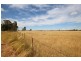 152R Mogriguy Rd, Eumungerie NSW 2831