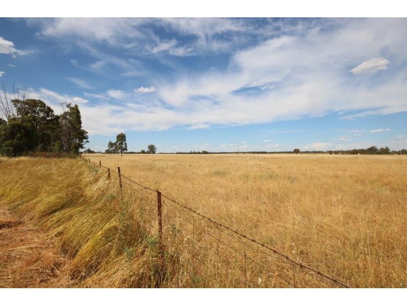 152R Mogriguy Rd, Eumungerie NSW 2831