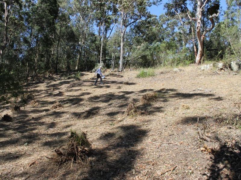 10 Lake Ridge Way, Murrays Beach NSW 2281