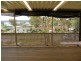 51 Winbin  Cres, Gwandalan NSW 2259