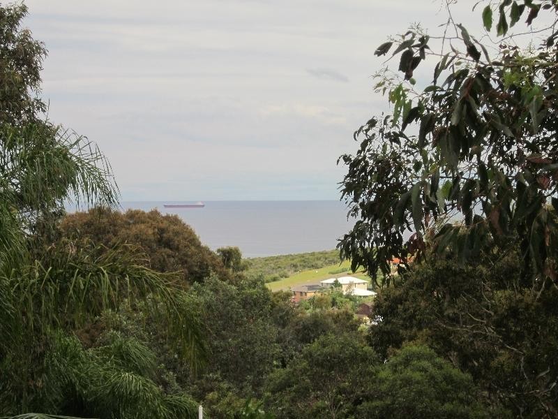 61 Scenic Dr, Caves Beach NSW 2281