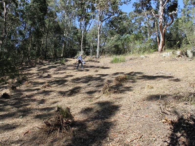 10 Lake Ridge Way, Murrays Beach NSW 2281