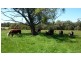 14 Yuille Ave, Bundanoon NSW 2578