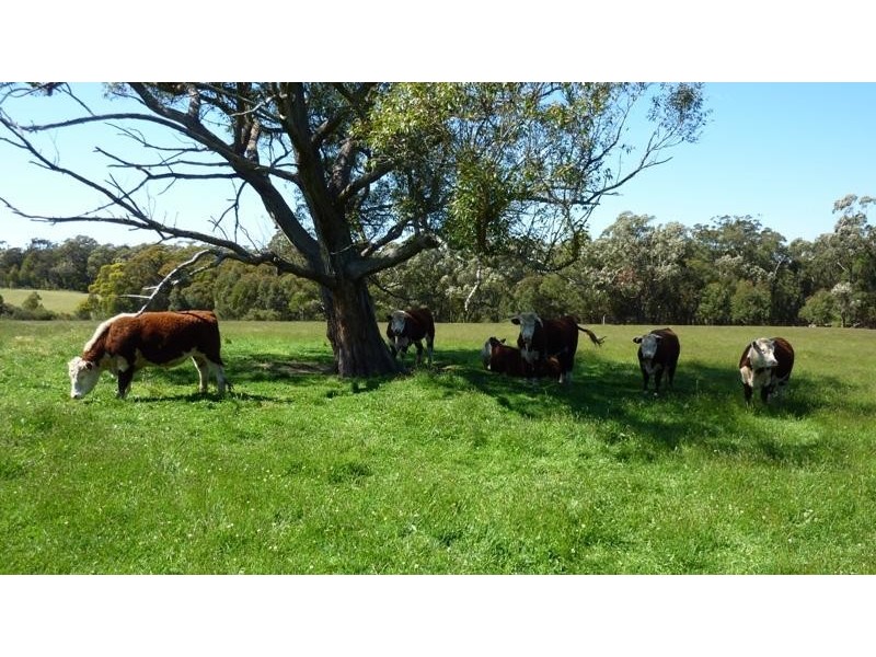 14 Yuille Ave, Bundanoon NSW 2578