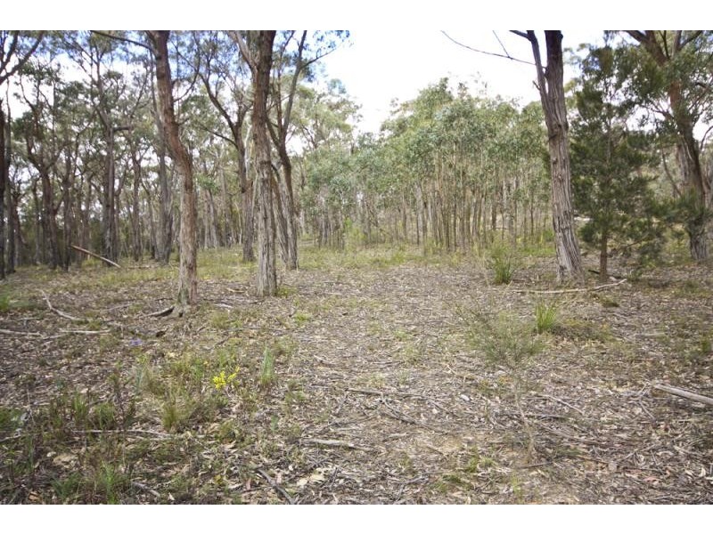 41 Grevillia  Cl, Tallong NSW 2579