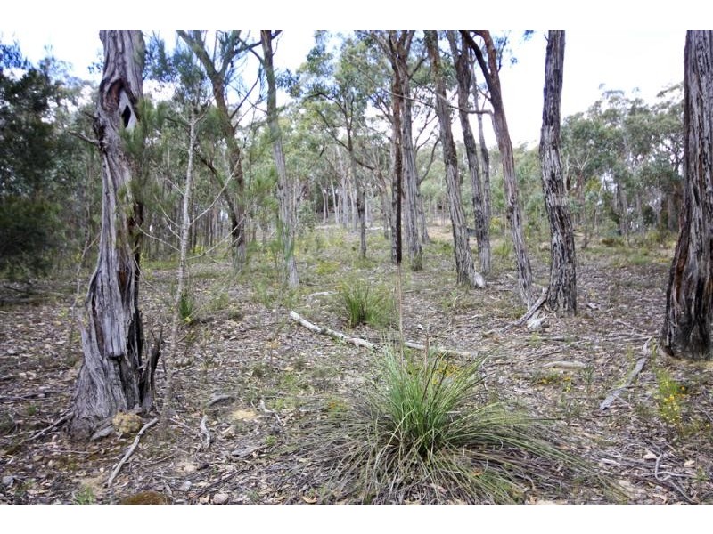 41 Grevillia  Cl, Tallong NSW 2579