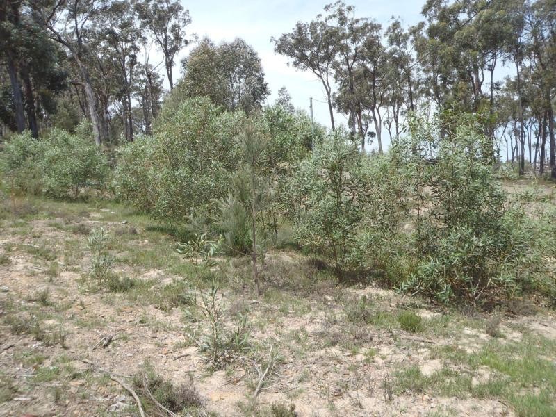 Tallong NSW 2579