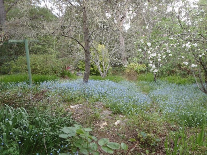 Bundanoon NSW 2578