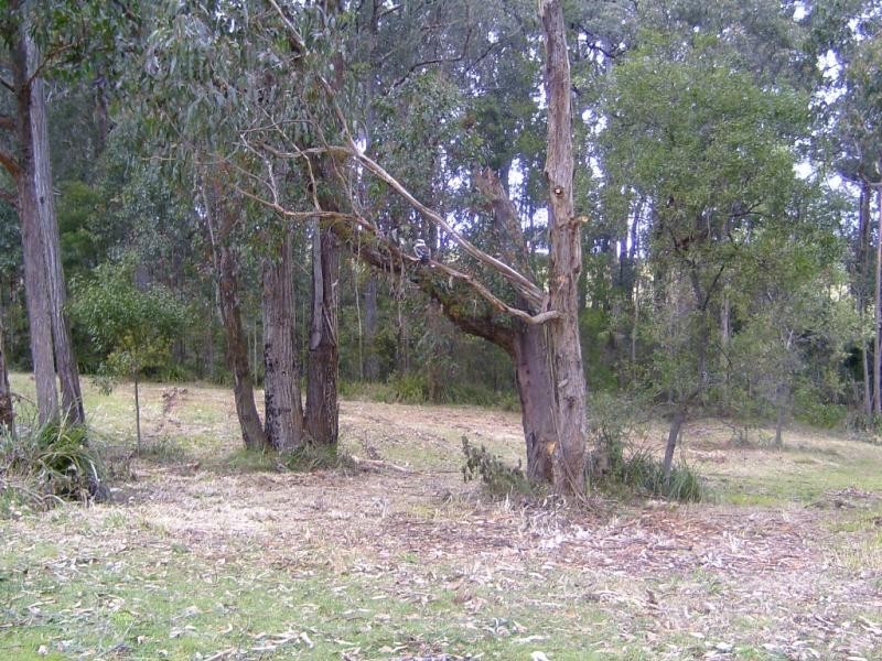 28  Panorama Ave, Bundanoon NSW 2578