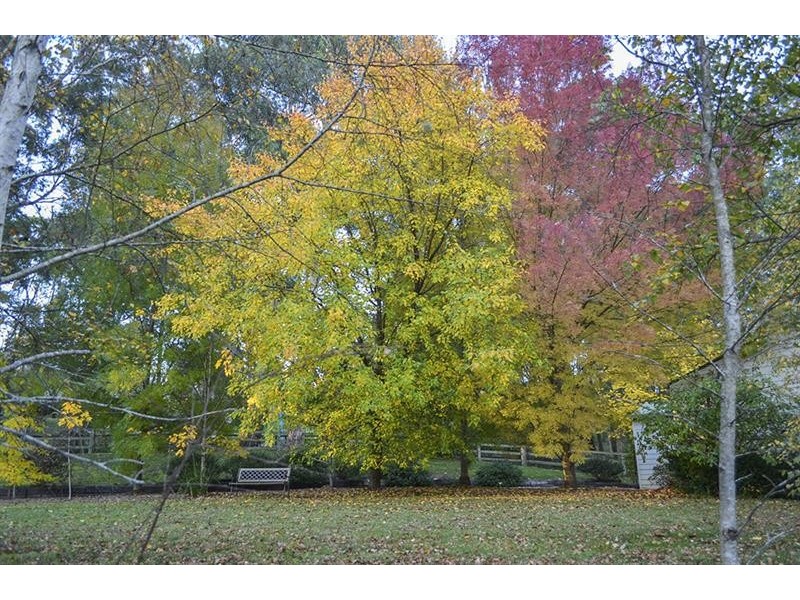 15 Grey Gums Lane, Bundanoon NSW 2578