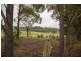 Tallong NSW 2579
