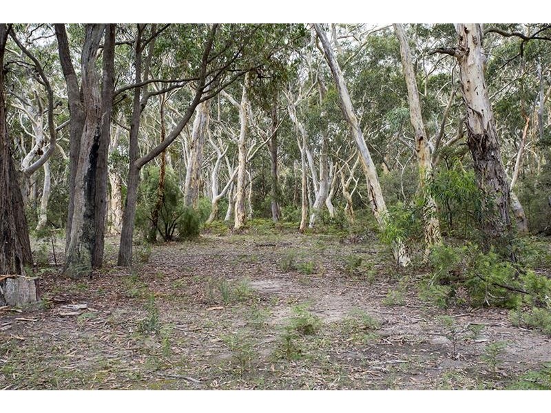 339 Caoura  Rd, Tallong NSW 2579