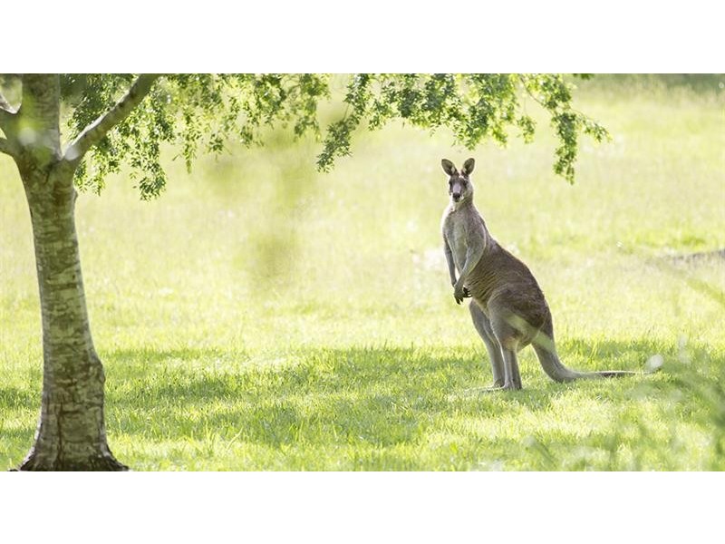 Bundanoon NSW 2578