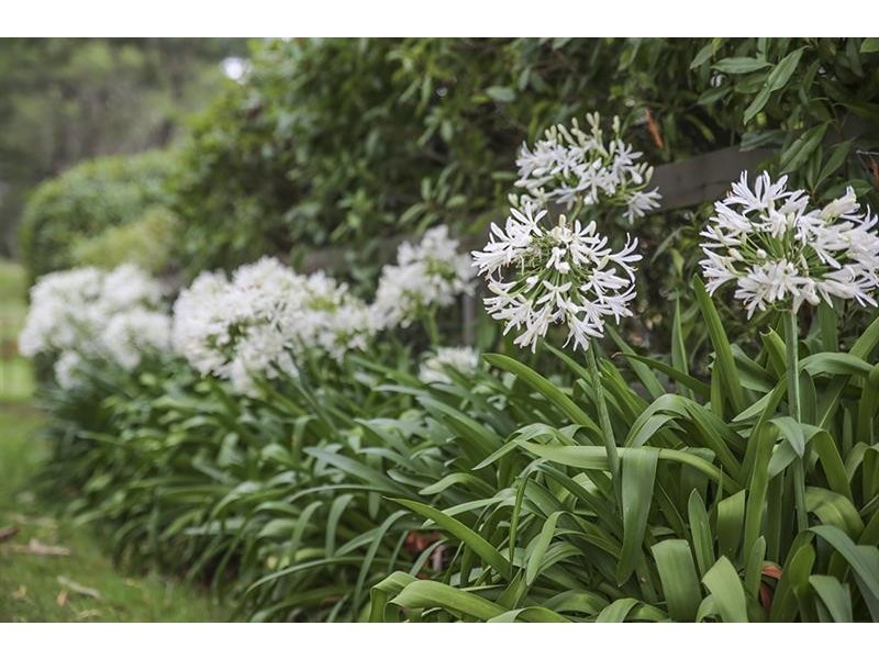 7  Willis  St, Bundanoon NSW 2578