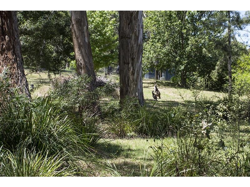 60 Nerrim  St, Bundanoon NSW 2578