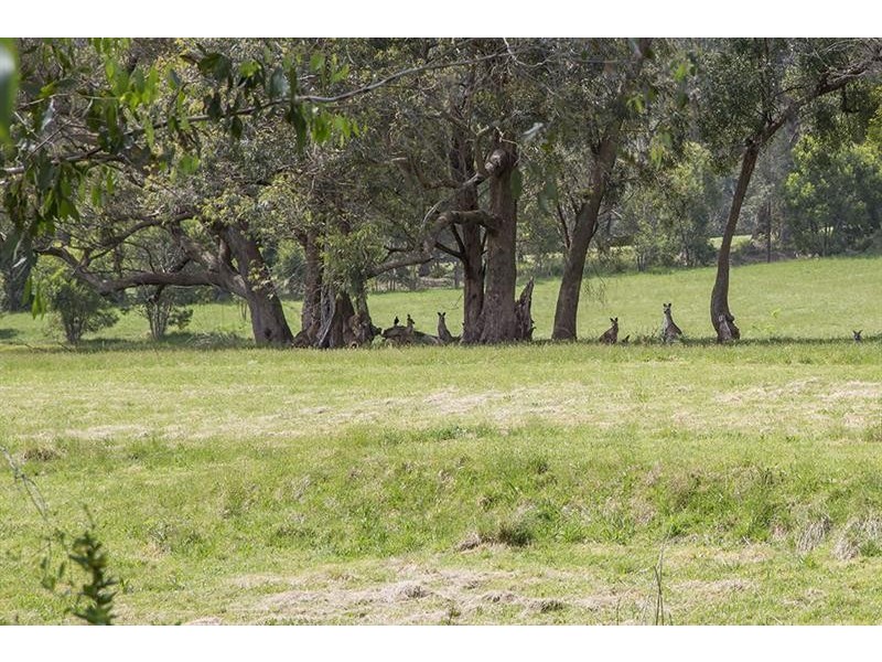 150 Erith  St, Bundanoon NSW 2578