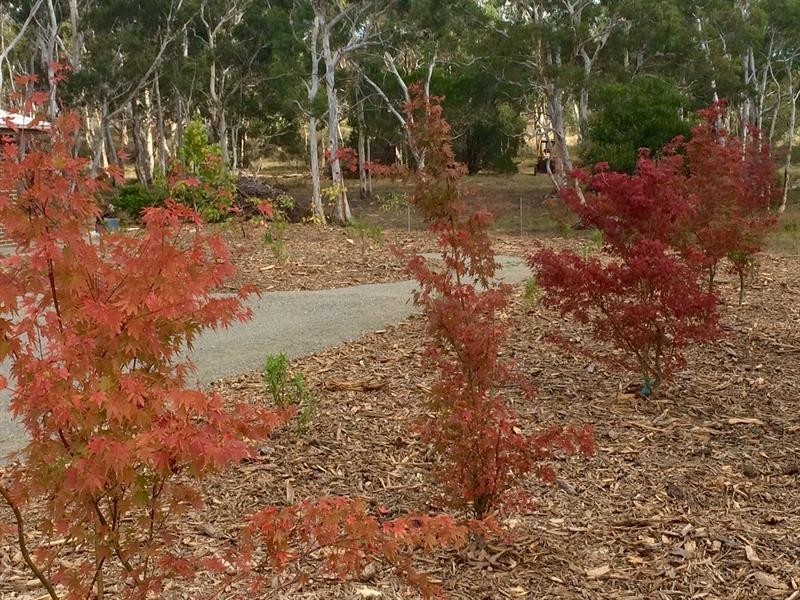 501 Mulwaree Dr, Tallong NSW 2579