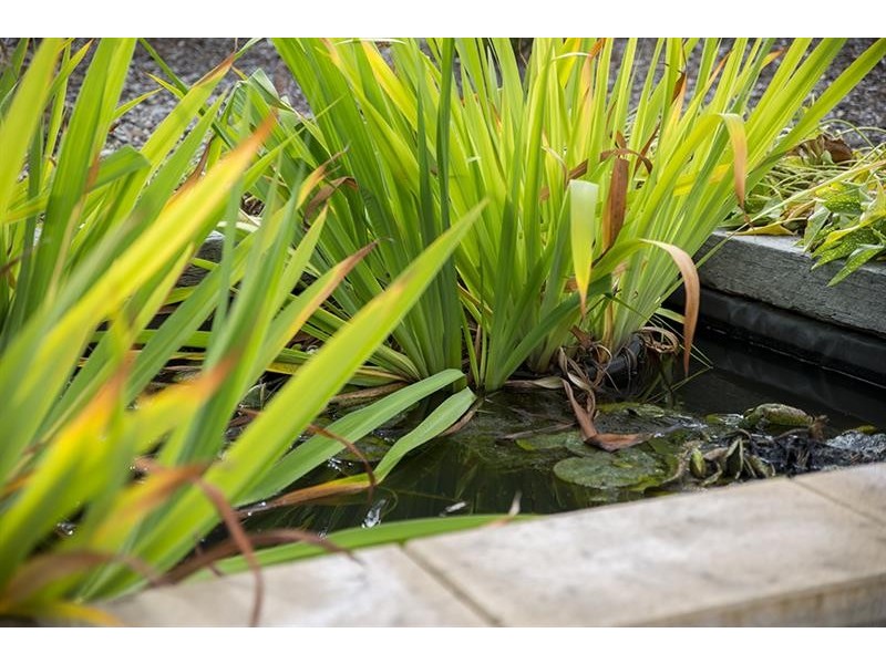 406 Mulwaree Dr, Tallong NSW 2579