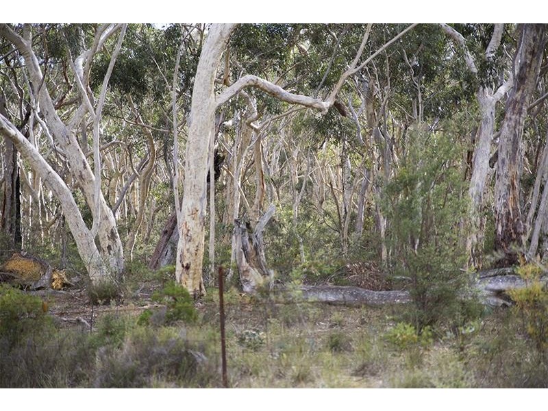 406 Mulwaree Dr, Tallong NSW 2579