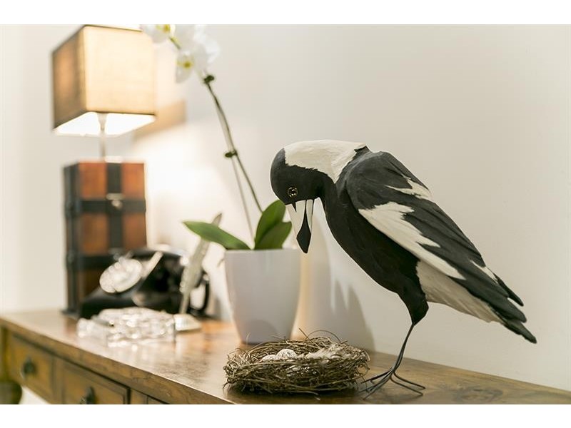 2 Brigadoon Dr, Bundanoon NSW 2578