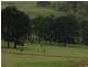 885 Caoura  Rd, Tallong NSW 2579