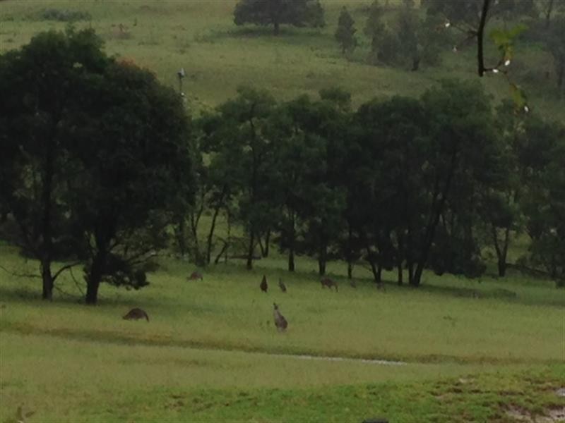 885 Caoura  Rd, Tallong NSW 2579