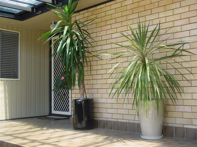 36 Watson Ave, Tumbi Umbi NSW 2261