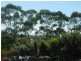 69b Hillside Dr, Berkeley Vale NSW 2261