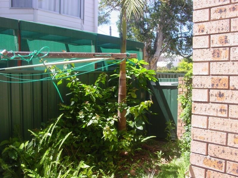 3/24 Coogee Ave, The Entrance North NSW 2261