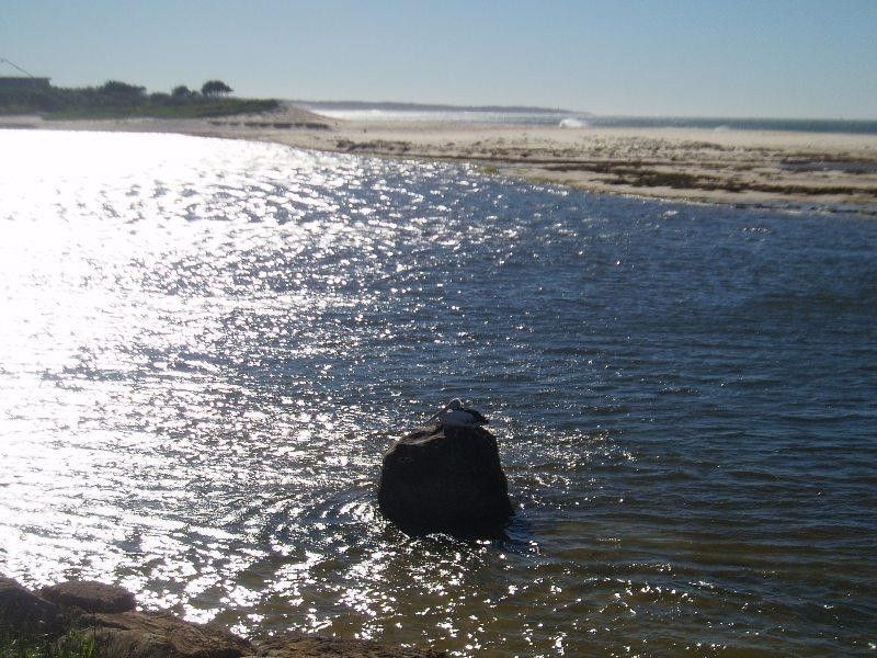 10/11 Marine Parade, The Entrance NSW 2261