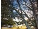 16 Tuggerah Parade, The Entrance NSW 2261