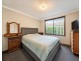 33 The Avenue Avenue, Tumbi Umbi NSW 2261