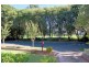 51  Riverside  Cres, Marrickville NSW 2204