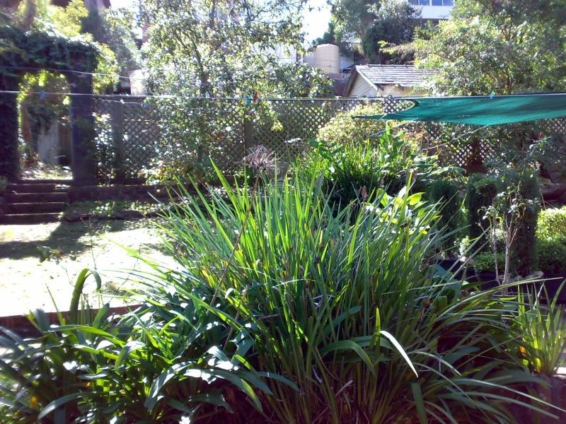 Beacon Hill NSW 2100