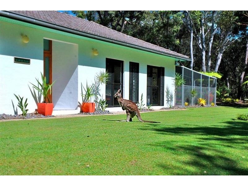 123 Teewah Beach Rd, Noosa North Shore QLD 4565