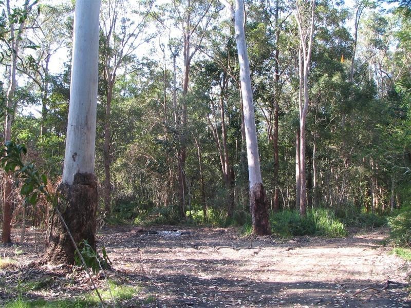 Boreen Point QLD 4565