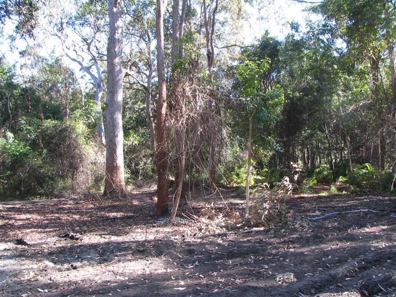 Boreen Point QLD 4565