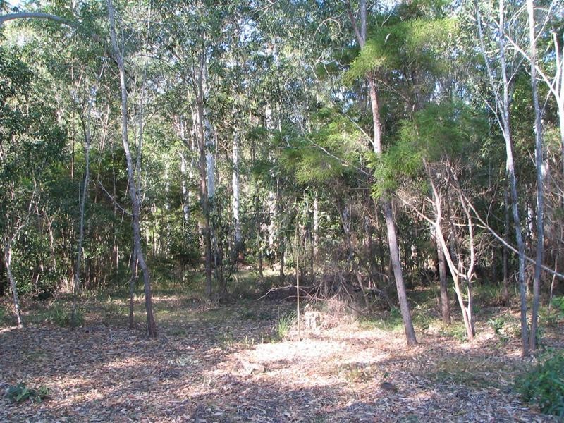 Boreen Point QLD 4565