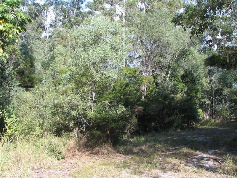 Boreen Point QLD 4565