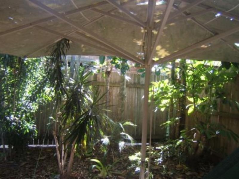 1/11 Hill St, Sunshine Beach QLD 4567