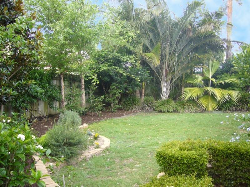 8 Wylah  St, Noosaville QLD 4566