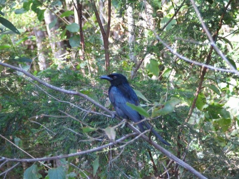 Boreen Point QLD 4565
