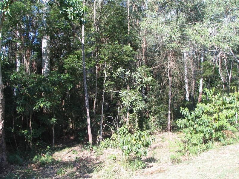 Boreen Point QLD 4565