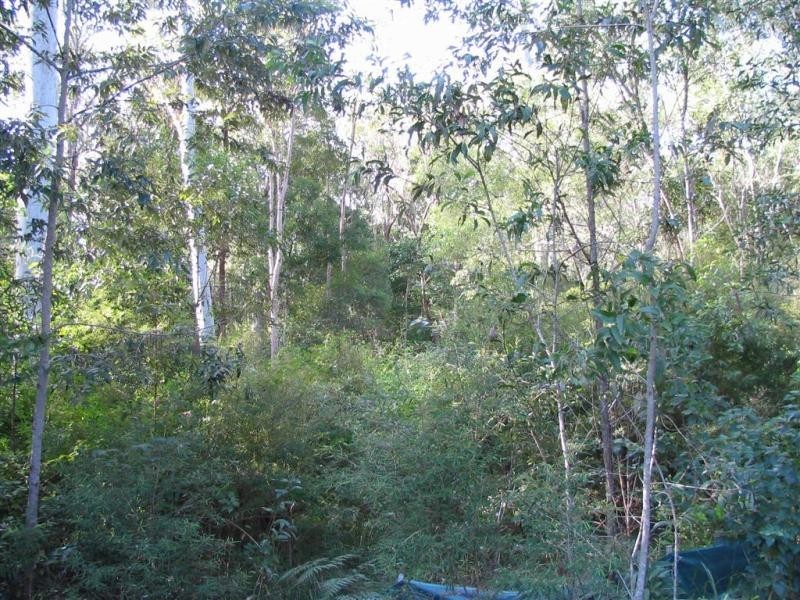 Boreen Point QLD 4565