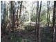 Boreen Point QLD 4565