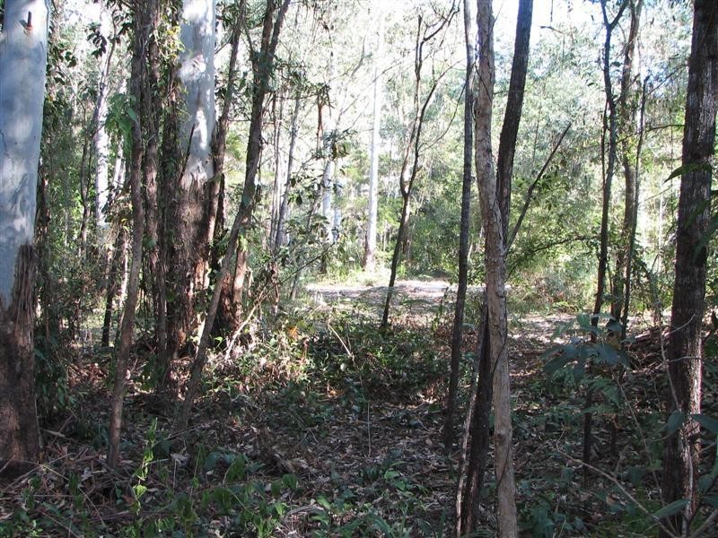 Boreen Point QLD 4565