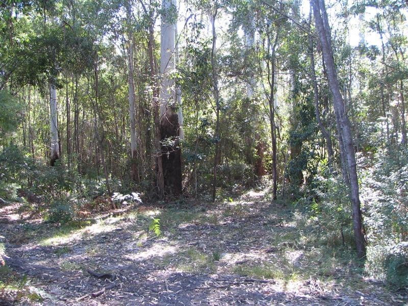 Boreen Point QLD 4565